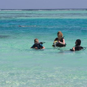 DivingLessonLagoon_500x500